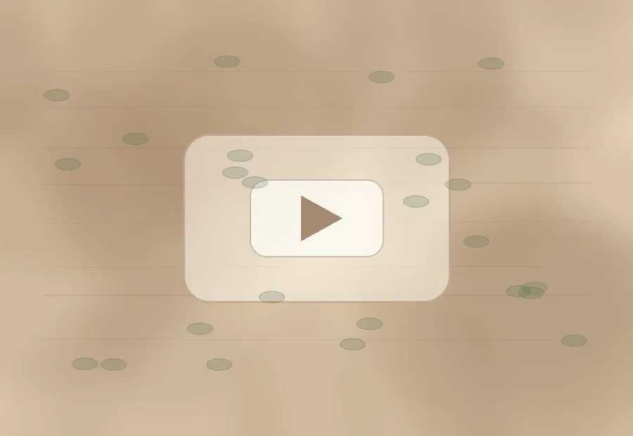 糖心vlog晨间茶席视频教程品牌图片